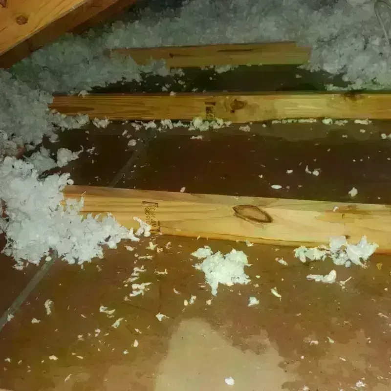 Attic Water Damage in Colbert, OK