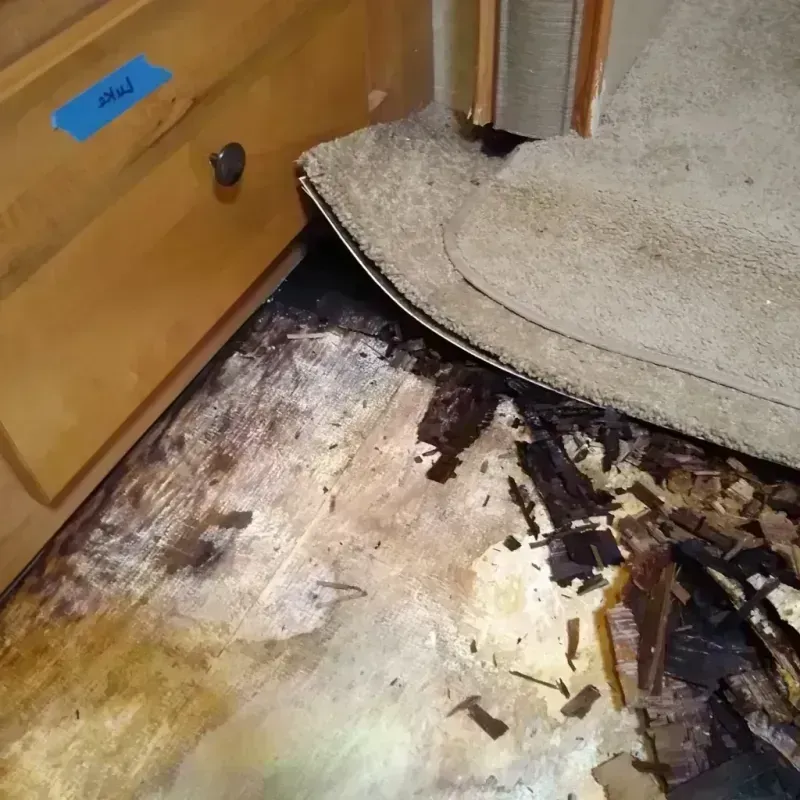 Wood Floor Water Damage in Colbert, OK